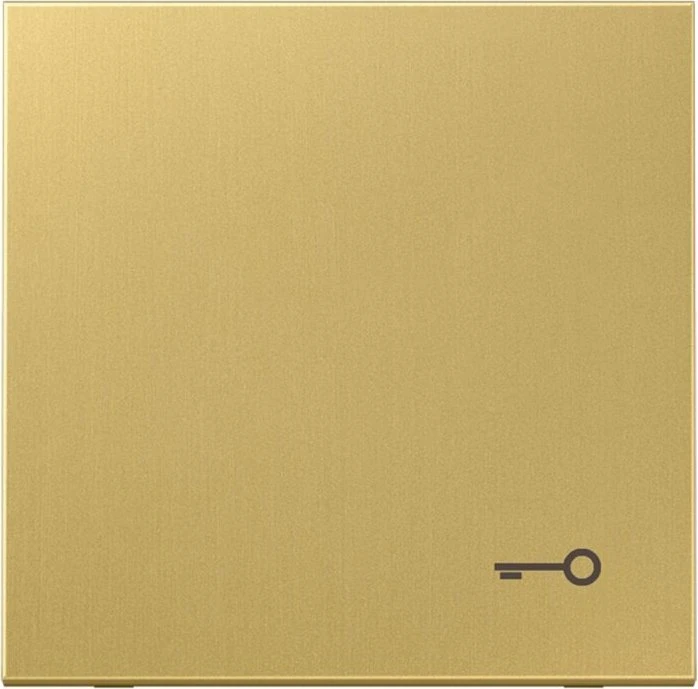 Jung Serie LS Wippe Symbol Tür, Messing classic