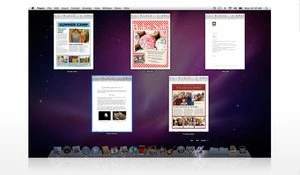 Apple Mac OS X 10.6 Snow Leopard Family Pack, Update (deutsch) (MAC)