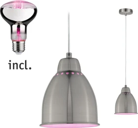 Paulmann Neordic Hilla Pendelleuchte + LED Pflanzenlampe E27 eisen gebürstet