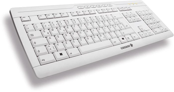 Cherry eVolution Stream XT, grau, PS/2 & USB, EU