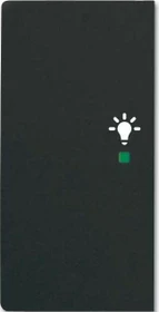 Busch-Jaeger Wippe 2-fach mit Symbol "Licht", schwarz matt