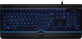 Tracer Ofis Pro Keyboard, LEDs blau, schwarz, USB, US (TRAKLA46473)
