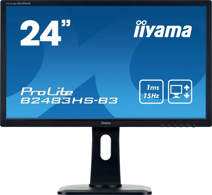 iiyama ProLite B2483HS-B3, 24"