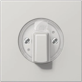 Jung Abdeckung für Drehschalter 1fach, Duroplast, Serie LS, lichtgrau