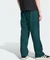 adidas Adicolor Baggy Fit Firebird Trainingshose lang aurora ivy/black (Herren) Vorschaubild