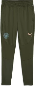 Puma Manchester City Trainingshose lang myrtle/bold blue (Herren)