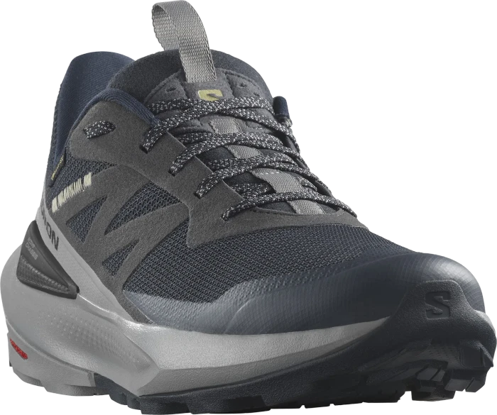 Salomon Elixir Activ GTX carbon/sharkskin/slate green (Herren)