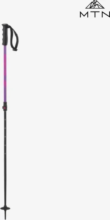 Salomon MTN Alpin Skistock violett (Junior) (Modell 2023/2024)