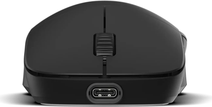 Endgame Gear XM2w 4k Wireless Gaming Mouse schwarz, USB