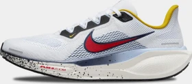 Nike Pegasus 41 multi color (Herren)