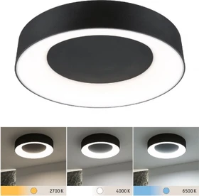 Paulmann Casca LED Deckenleuchte rund 23W schwarz matt
