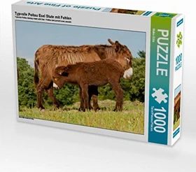 Calvendo Typvolle Poitou Esel Stute mit Fohlen