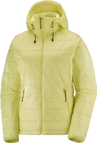 Salomon Outline Hooded Funktionsjacke charlock (Damen)