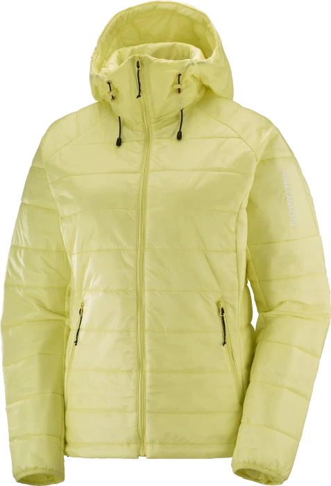 Salomon Outline Hooded Funktionsjacke charlock (Damen)