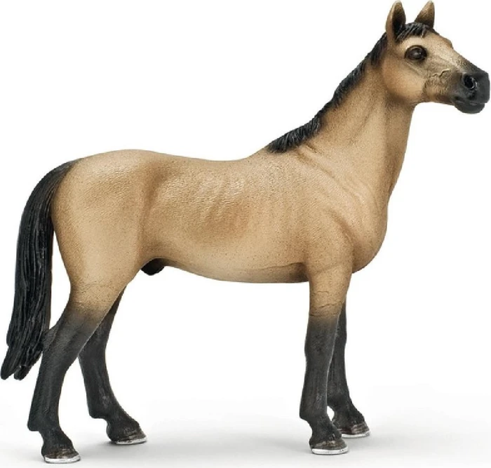 Schleich Horse Club - Achal Tekkiner Hengst