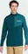 adidas Terrex Multi Climacool 1/2 Zip Funktionsshirt langarm aurora ivy/mystery green (Herren) Vorschaubild
