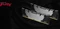 Kingston FURY Renegade UDIMM 32GB Kit, DDR4-4000, CL19-23-23, 2RX8 Vorschaubild