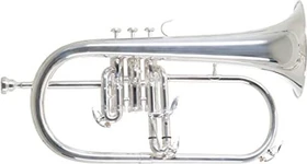 Roy Benson Bb-Flügelhorn FH-302S