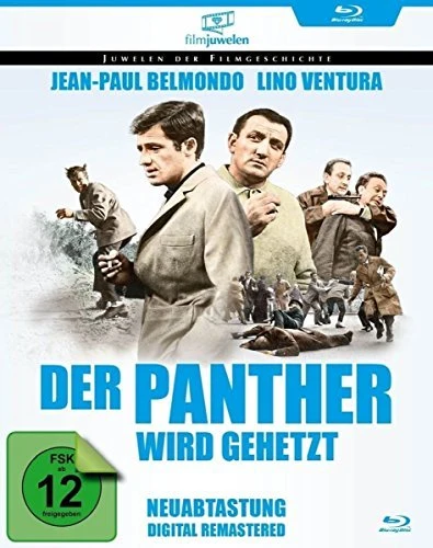 Der Panther wird gehetzt - The Big Risk (DVD)