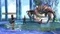 Final Fantasy X/X-2 HD Remaster (Switch) Vorschaubild