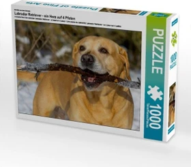 Calvendo Ein Motiv aus dem Kalender Labrador Retriever - ein Herz auf 4 Pfoten