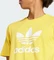 adidas Adicolor Trefoil T-Shirt kurzarm bold gold (Herren) Vorschaubild