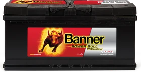 Banner Power Bull PROfessional P10040