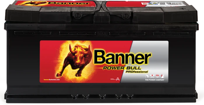 Banner Power Bull PROfessional P10040