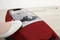 Miele Blizzard CX1 Cat&Dog PowerLine SKCF5 mangorot Vorschaubild