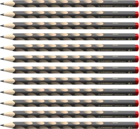 STABILO EASYcolors Buntstift grau, Rechtshänder, 12er-Pack