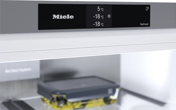 Miele KFFD 6765 French Door