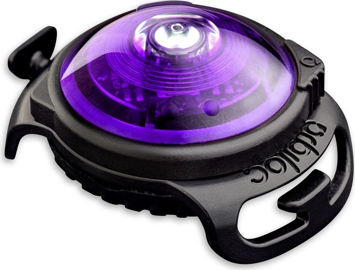 Orbiloc Dog Dual LED Safety Light, purple