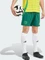adidas Celtic FC 2024/2025 Auswärtsshorts team dark green (Herren) Vorschaubild