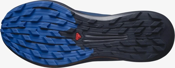Salomon Pulsar Trail Pro estate blue/night sky/dazzling blue (Herren)