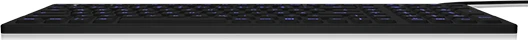 KeySonic KSK-6031 INEL-B, schwarz, USB, DE