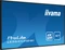 iiyama ProLite LE5541UHS-B1, 54.6" Vorschaubild