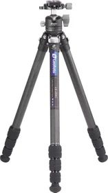 Leofoto LS-254C+LH-30