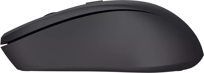 Trust Mydo Silent Wireless Mouse schwarz, ECO zertifiziert, USB