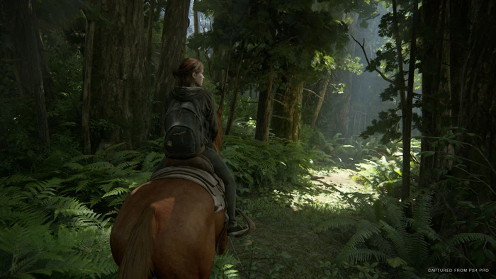 The Last of Us: Part II - Special Edition (PS4)