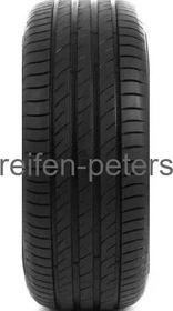 Delinte DS2 205/60 R16 92V