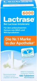 Lactrase 6000 Mini-Tabletten, 480 Stück
