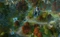 Might and Magic: Heroes VI (PC) Vorschaubild