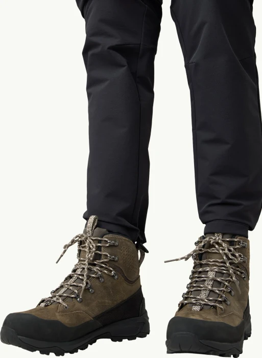 Jack Wolfskin Terraquest Arctic Texapore Mid cold coffee (Herren)