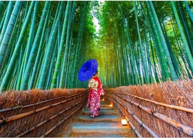ENJOY Puzzle Asian Woman in Bamboo Forest