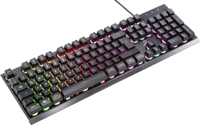 Renkforce RF-GMK-250 Gaming Tastatur, LEDs RGB, schwarz, USB, DE