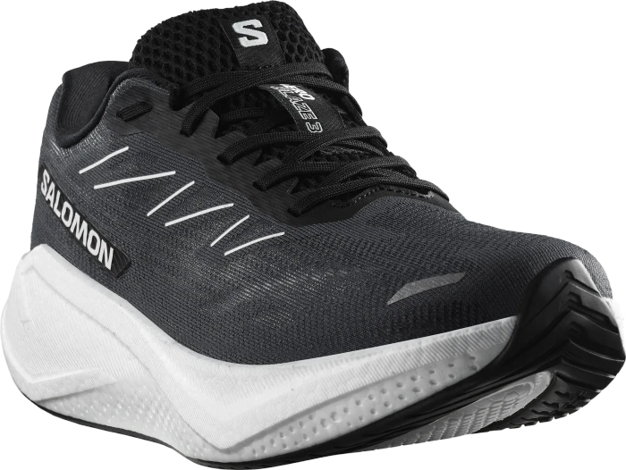 Salomon Aero Glide 3 phantom/white/black (Herren)