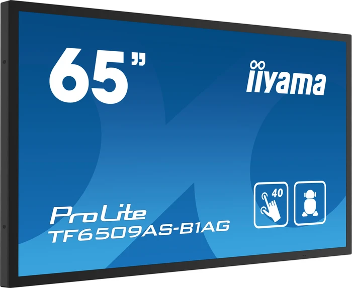 iiyama ProLite TF6539AS-B1AG, 65"