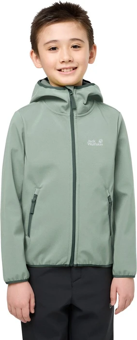 Jack Wolfskin Fourwinds Funktionsjacke green zinnia (Junior)