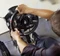 Thrustmaster T500 RS USB (PS4/PS3/PC) Vorschaubild
