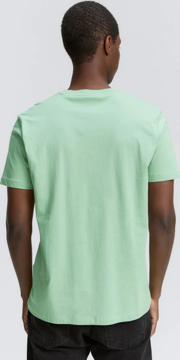 Tom Tailor Basic mit Logo-Print T-Shirt kurzarm paradise mint (Herren)